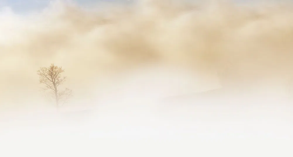 Вижте как най-големият самолет в света си проправя път през мъглата (видео)