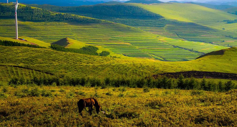 Китай призовава дипломиралите се от университет да потърсят работа на село