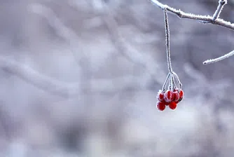 През октомври: 30 градуса, но и сняг
