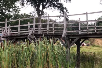 Дървен мост от книгата за Мечо Пух се продава на търг