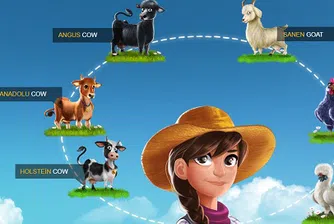 Играта за 100 млн. долара, която Турция счита за пирамида