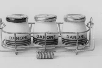 "Скъпият" племенник на Рамзан Кадиров поема контрола на Danone в Русия