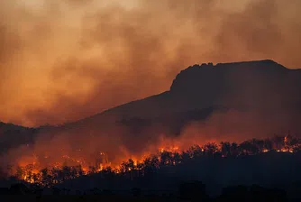 Целият свят е бил изложен на по-високи температури през юни, юли и август