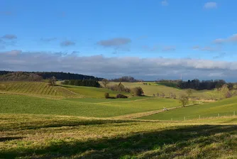 До 2 г кадастралната карта обхваща 90% от територията на страната
