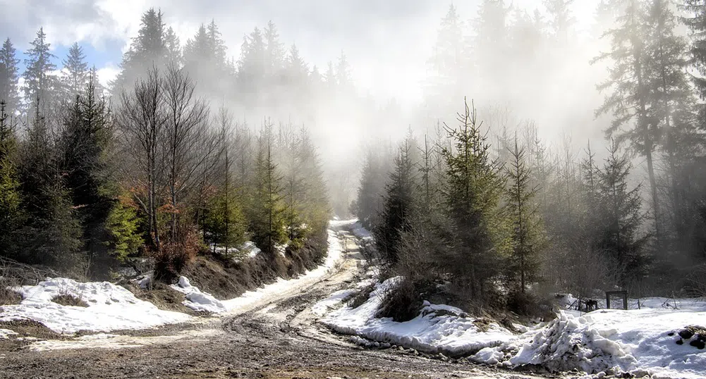 Полюсът на студа: В Румъния тази нощ беше минус 20 градуса