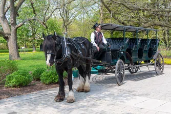 Тропотът на конски копита отново изпълва улиците на френските градове