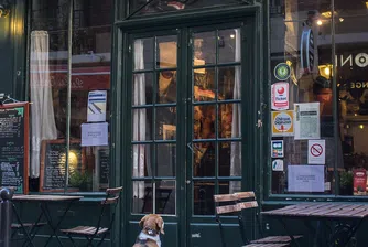 Какво да НЕ поръчвате във Франция?