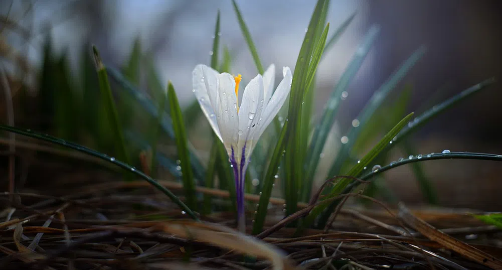 Много слънце и високи температури през почивните дни