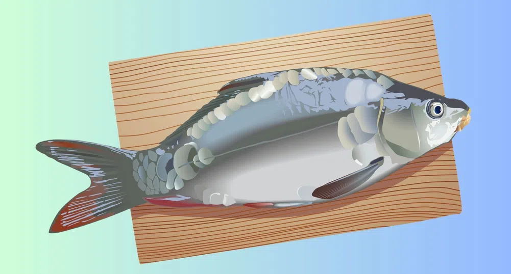 Треска за оползотворяване: Как Исландия използва 90% от рибните отпадъци