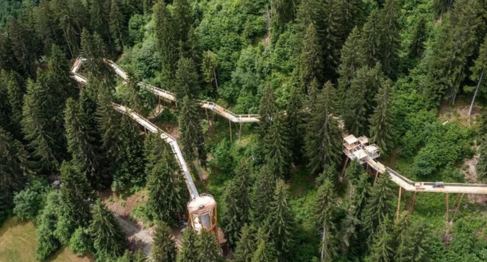 Невероятната Швейцария: Разходка по най-дългата пътека над горските корони