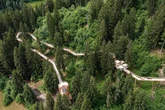 Невероятната Швейцария: Разходка по най-дългата пътека над горските корони