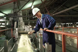 Светът разполага със запаси от захар за 68 дни, цените са космически