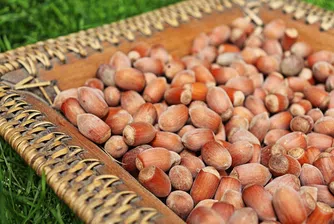 Турция изнесла лешници за над 1 млрд. долара тази година