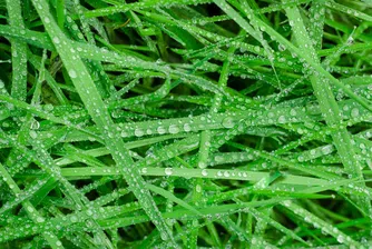 Опасно време: бурният вятър събаря клони, дъждът преминава в сняг