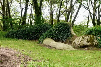 Мистериозните Изгубени градини на Хелиган (снимки)