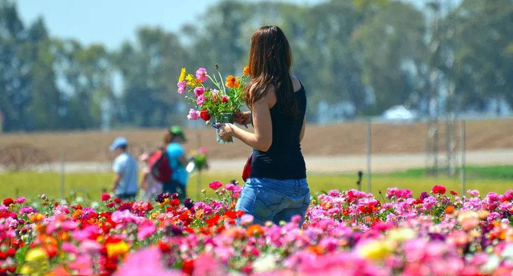 Температурите скачат до 25-30 градуса