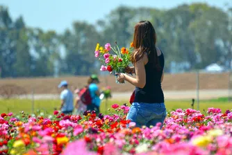 Температурите скачат до 25-30 градуса