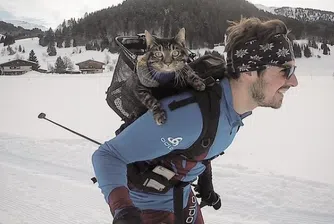 Един човек, една котка и много адреналин...
