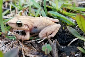 Идеалният подарък за човек, който си има всичко, не е това, което очаквате