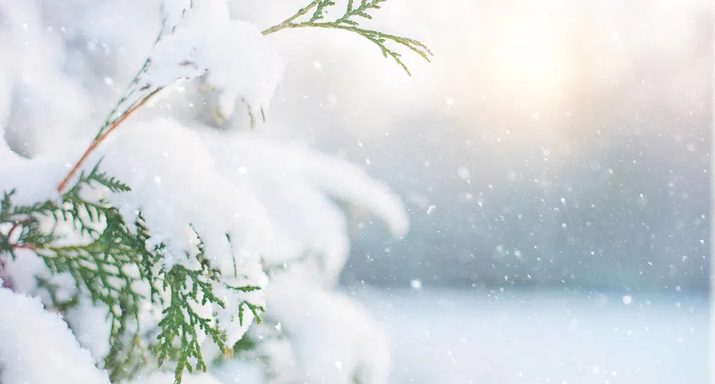 Жълт код за опасно време в четири области на страната