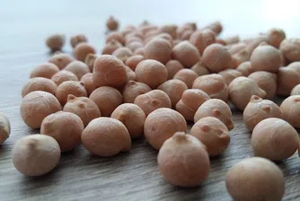 Ето какво се случва с тялото ви, когато ядете нахут всеки ден