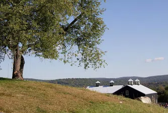В тази ферма се върши нещо много благородно