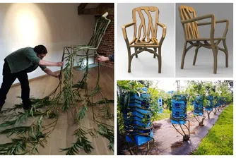 В тази ферма се отглеждат… мебели