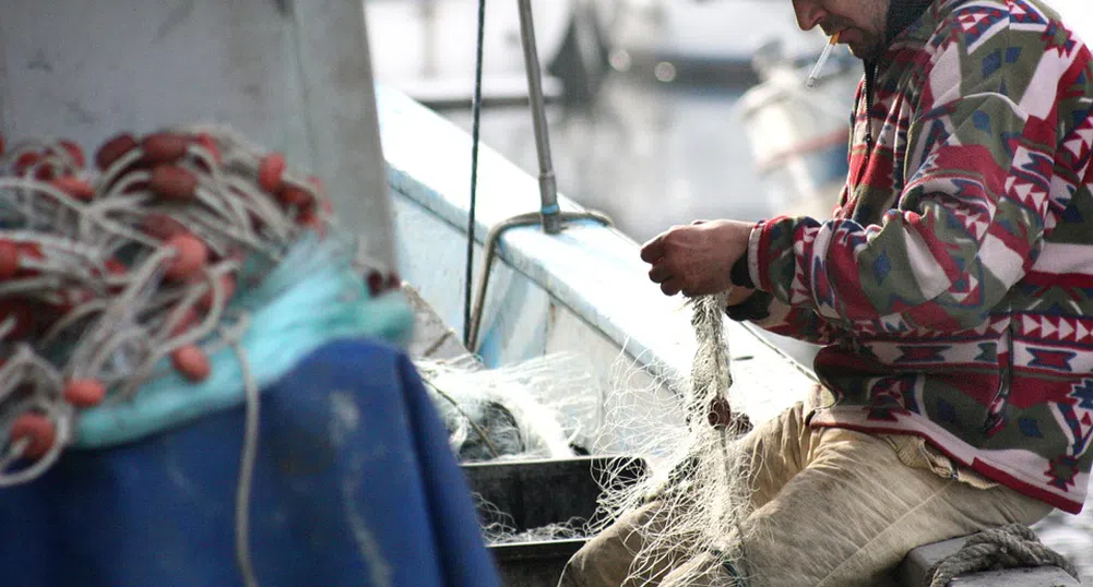 Рибата рекордно евтина - морето завря, вадят по 200 кг на ден