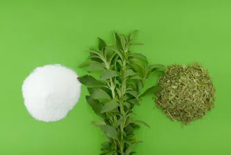 Опасна ли е стевията?
