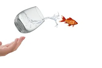 Бивш шеф на JPMorgan: Успелите напускат зоната си на комфорт