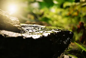 Сгушено между три планини, село Баня има 72 минерални извора