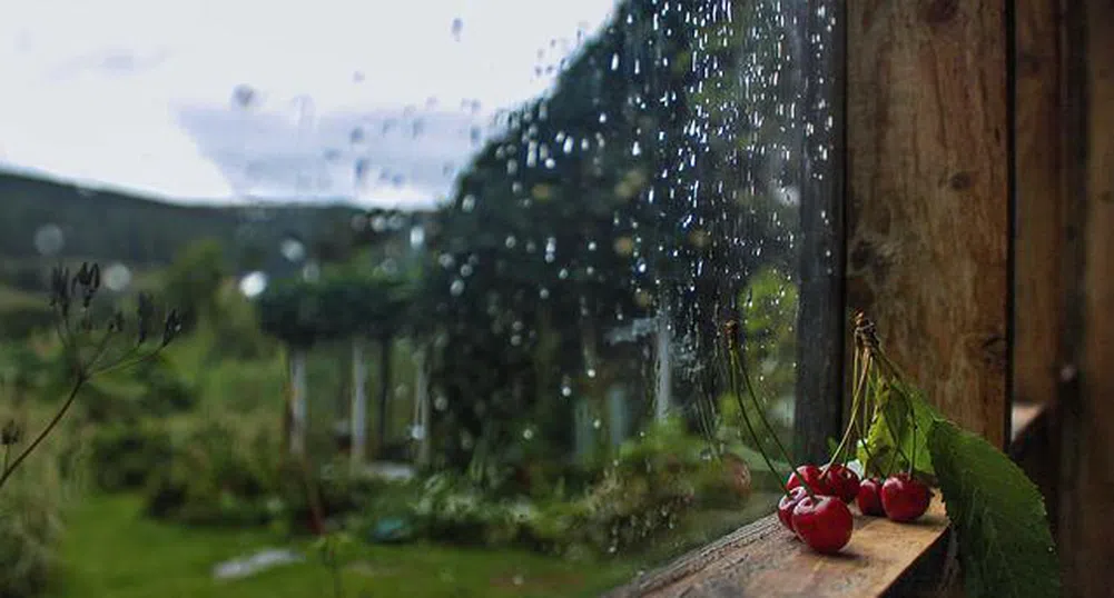 Днес ще вали и гърми следобед