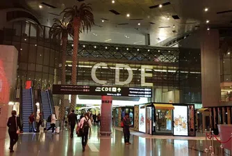 Мече за 6.8 млн. долара живее на катарското летище