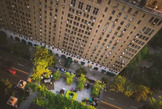 Неочакваната полза от зелените покриви