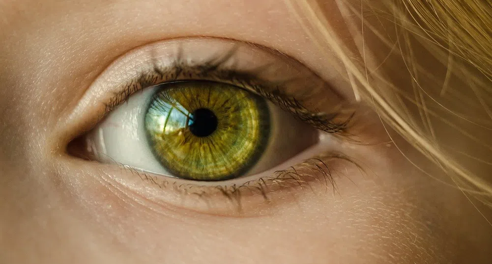 Цветът на очите издава колко ще живеем