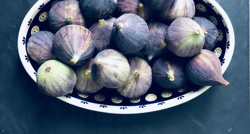 Матусал - най-старата аквариумна риба в света, която обича смокини (снимки)