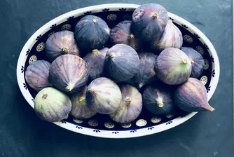 Матусал - най-старата аквариумна риба в света, която обича смокини (снимки)