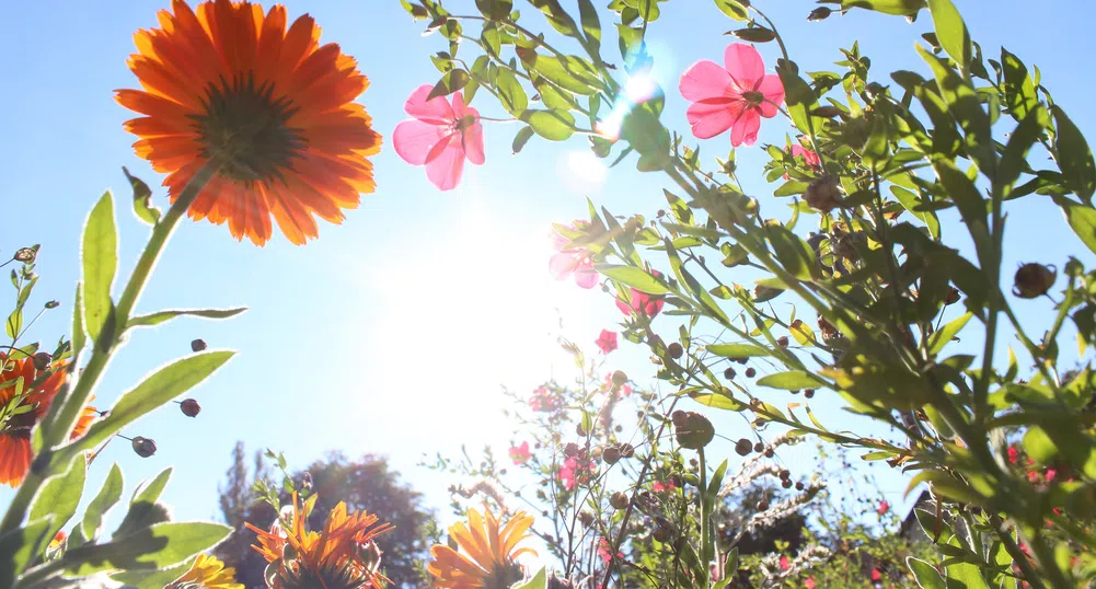 Слънчево време днес, от сряда - валежи с гръмотевици