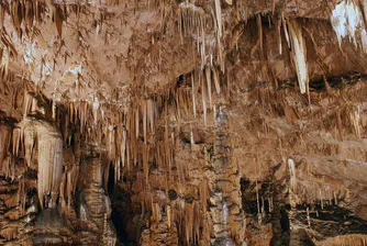 Находка от пещерата Бачо Киро променя мнението на учените за неандерталците