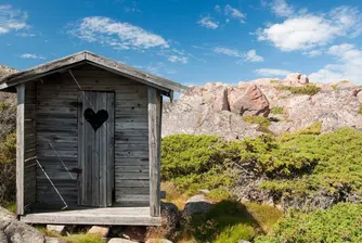 Тоалетни с гледка