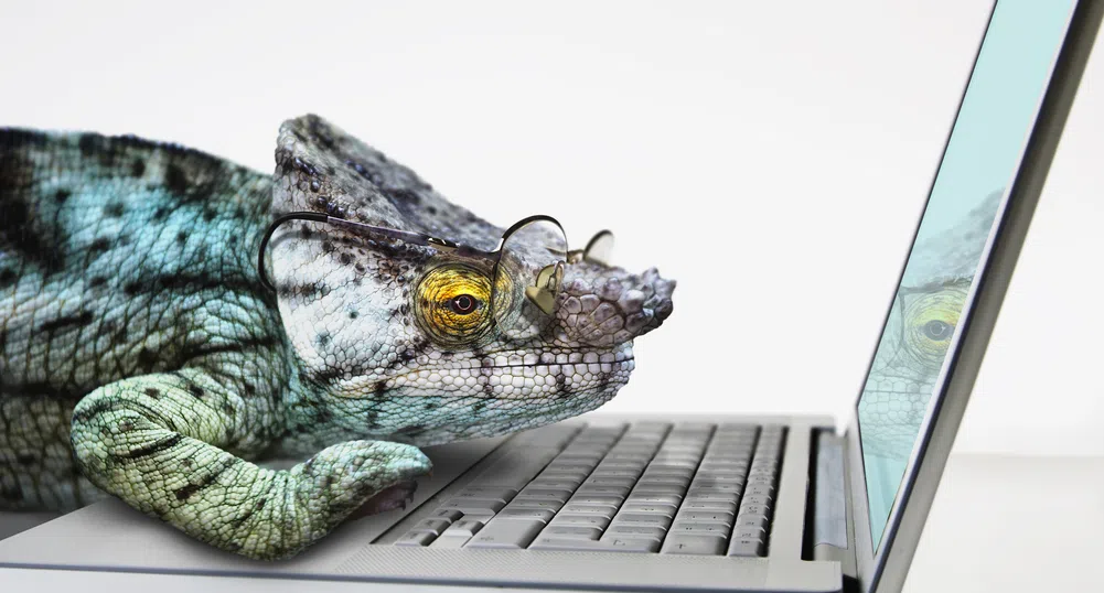 Как се чувстват животните в технологичния свят