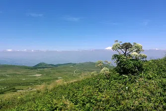 Пускат отново автобусните линии до Витоша