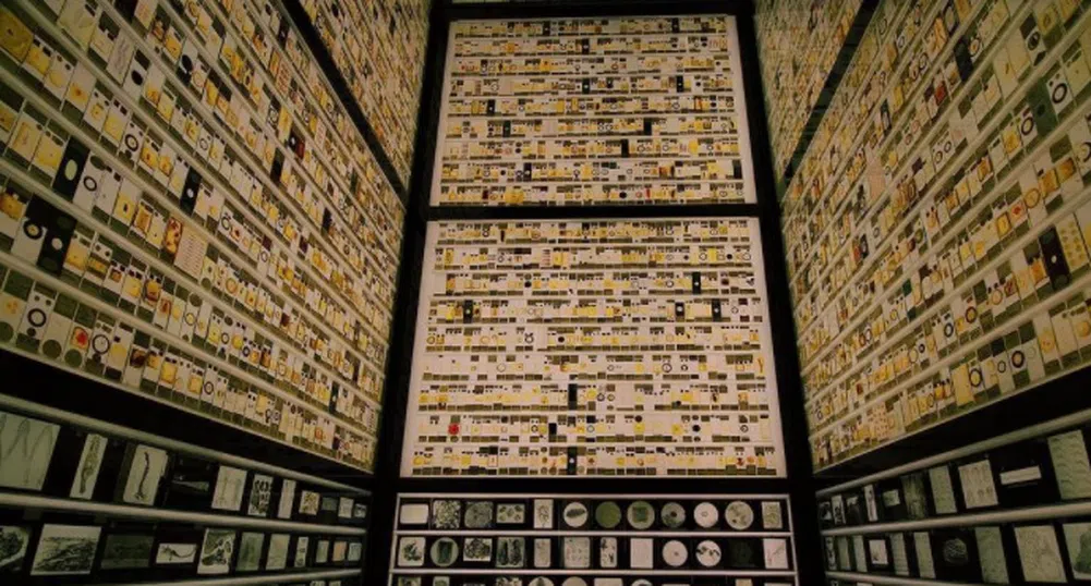 Micrarium: Музеят на микроскопичните животни