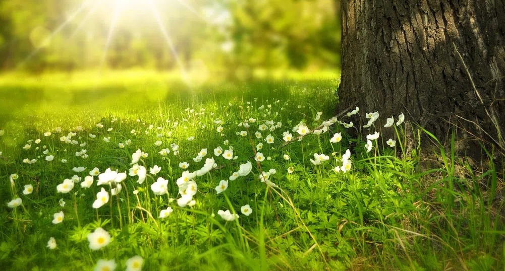 Жълт код за високи температури в седем области на страната