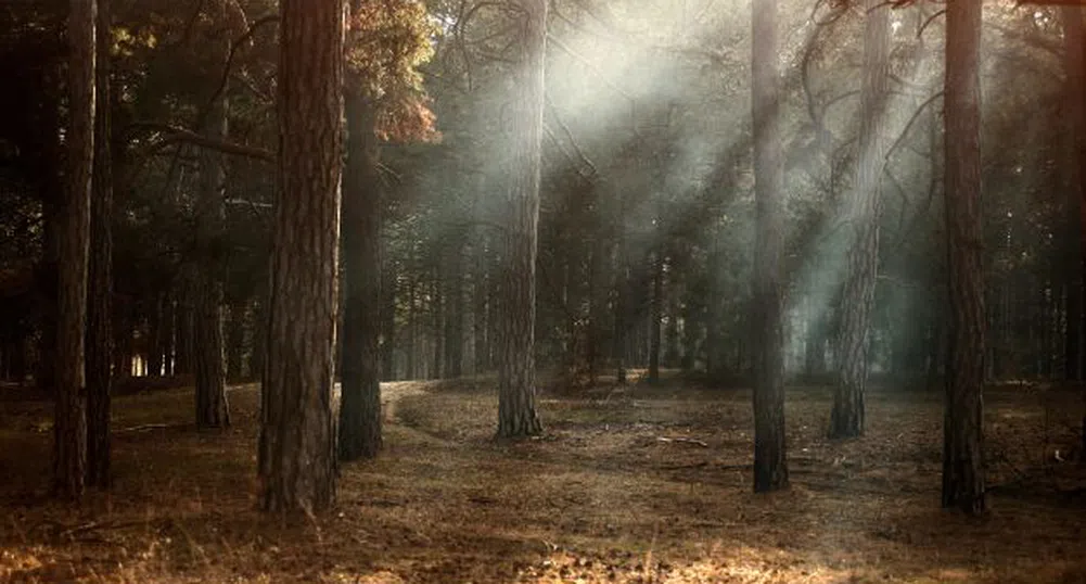 Слънчева събота с умерен вятър