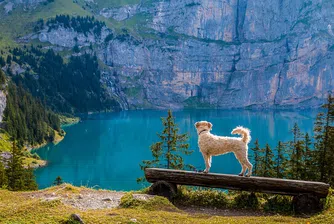 В Швейцария се продават къщи за 1 франк