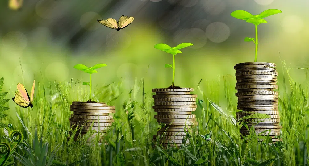 Зелените финанси отчитат стократен ръст за последното десетилетие