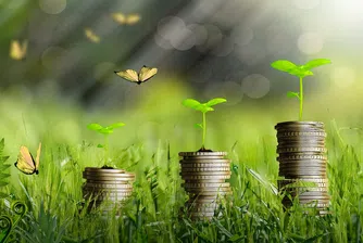 Зелените финанси отчитат стократен ръст за последното десетилетие