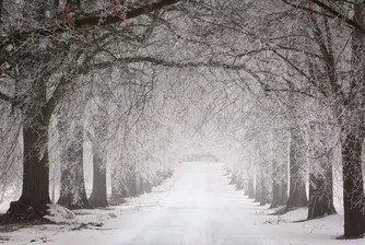 Пътищата в страната се обработват постоянно срещу обледяване