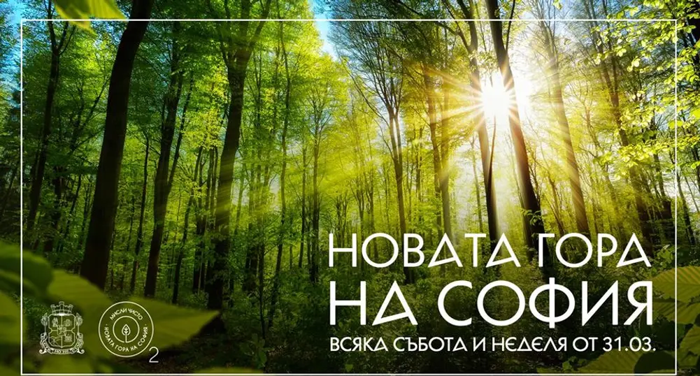 Днес стартира вторият залесителен сезон на Новата гора на София